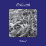 PRIBUMI “Jalang”